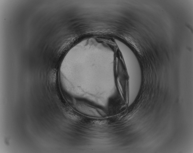 X0000091670495200709201222