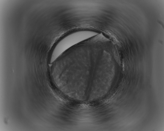 X0000091670496200709201222