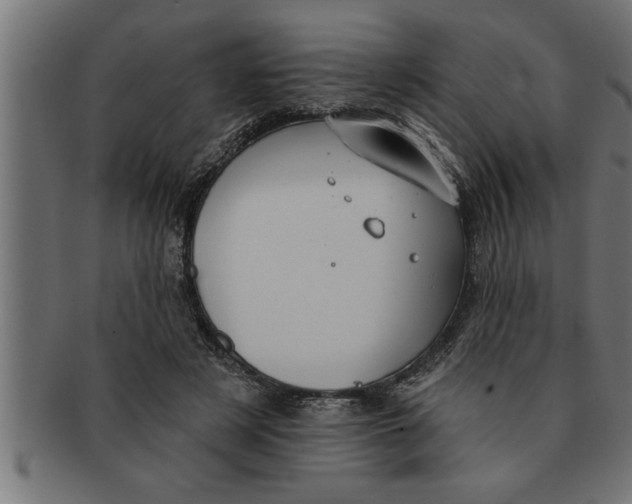 X0000091670497200709201222