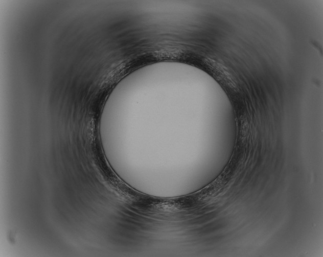 X0000091670498200709201222