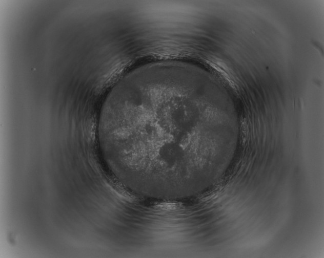 X0000091670499200709201222