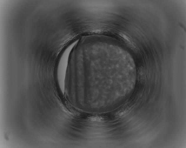 X0000091670500200709201222