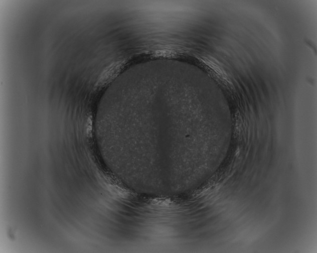 X0000091670502200709201222