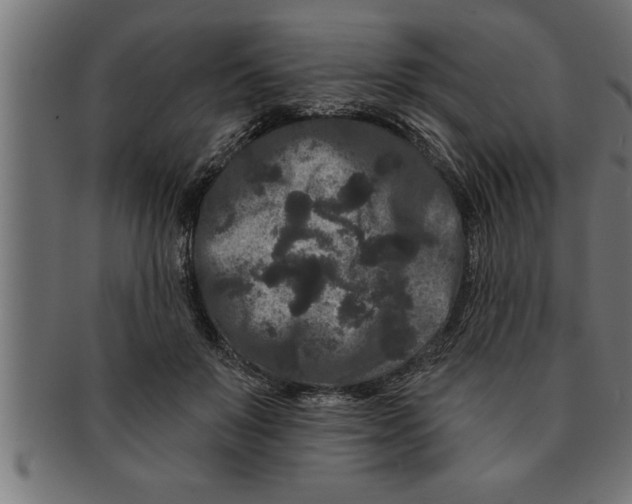 X0000091670503200709201222