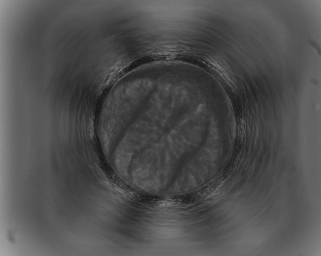 X0000091670504200709201222