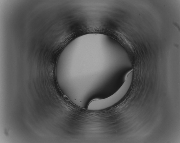 X0000091670505200709201222