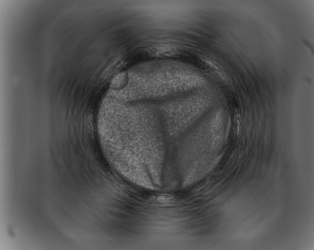 X0000091670506200709201222