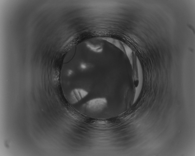 X0000091670507200709201222