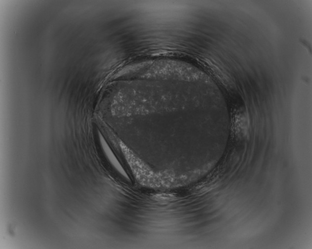 X0000091670508200709201222