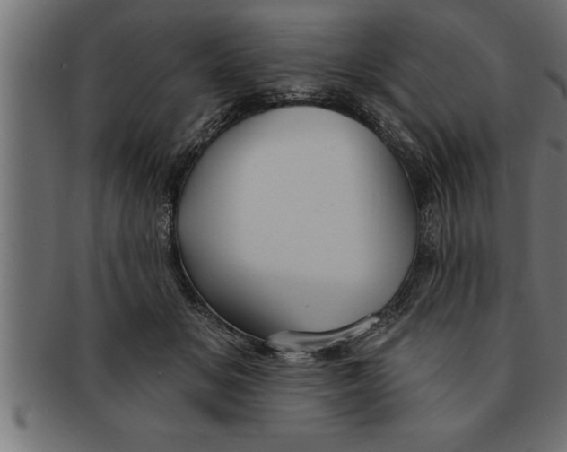 X0000091670509200709201222