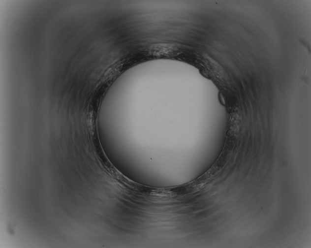 X0000091670510200709201222