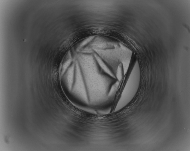 X0000091670513200709201222