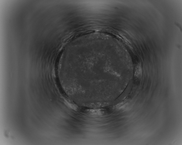 X0000091670524200709201222