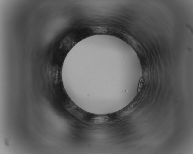 X0000091670525200709201222