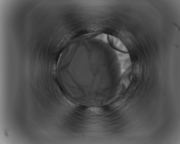 X0000091670526200709201222