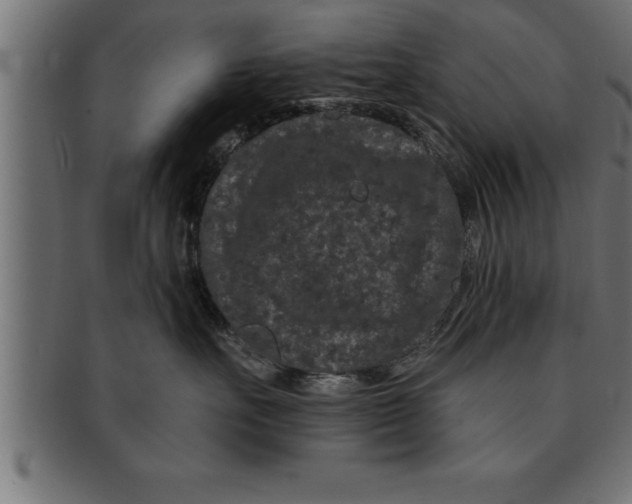 X0000091670527200709201222