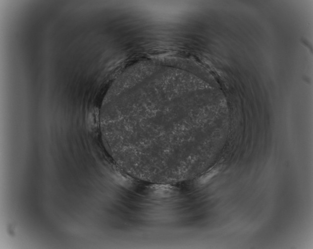 X0000091670528200709201222