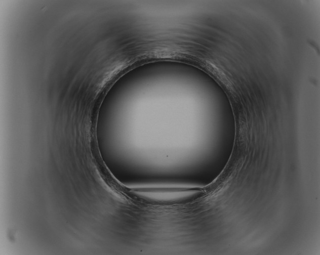 X0000091670530200709201221