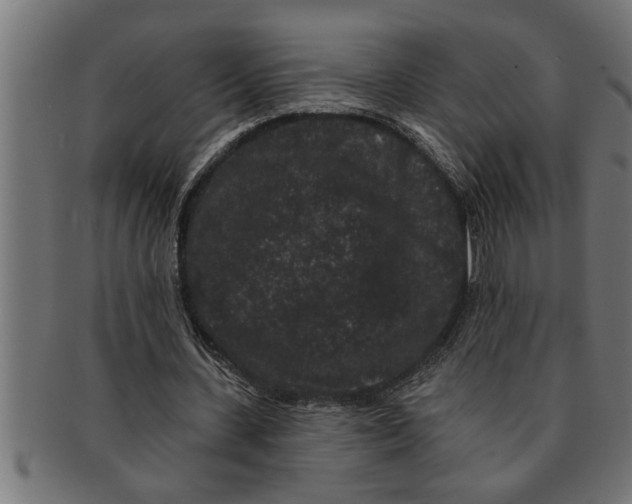 X0000091670531200709201221