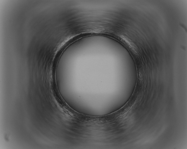 X0000091670532200709201221