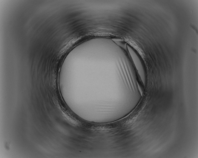 X0000091670533200709201221