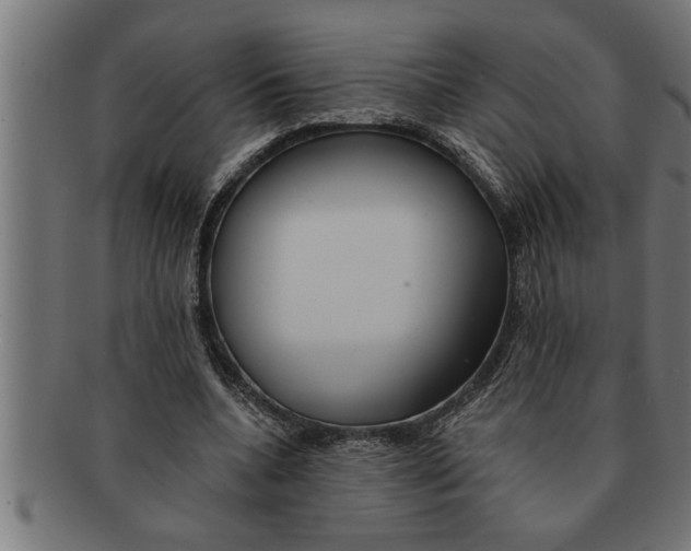 X0000091670536200709201221