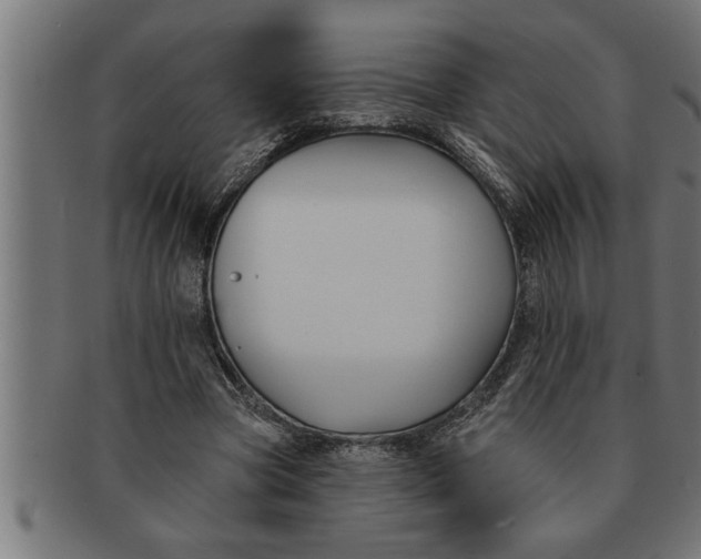 X0000091670537200709201221