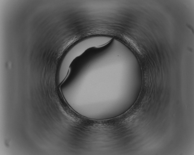 X0000091670538200709201221