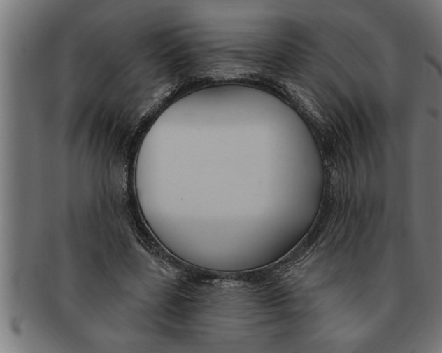 X0000091670539200709201221