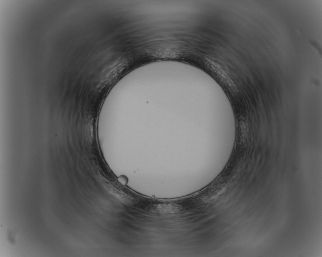 X0000091670541200709201221