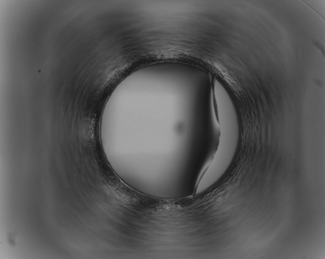 X0000091670543200709201222