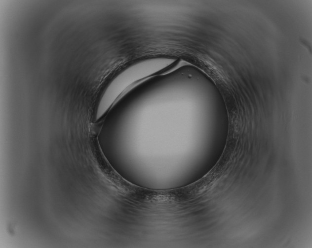 X0000091670546200709201222