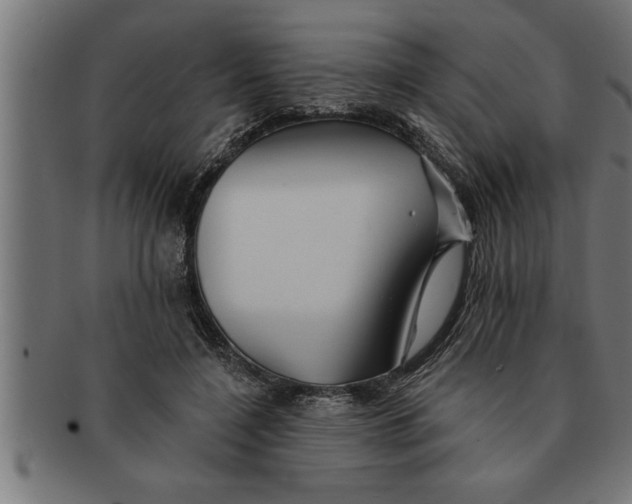 X0000091670548200709201222