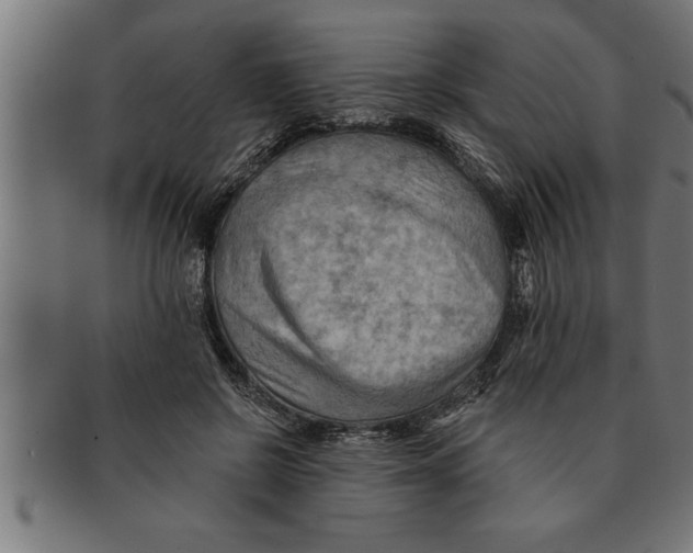 X0000091670550200709201222