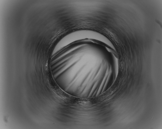 X0000091670552200709201222