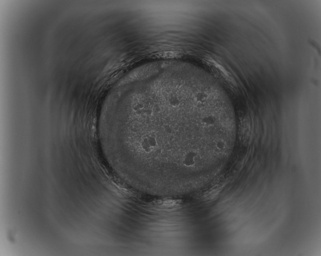 X0000091670553200709201222