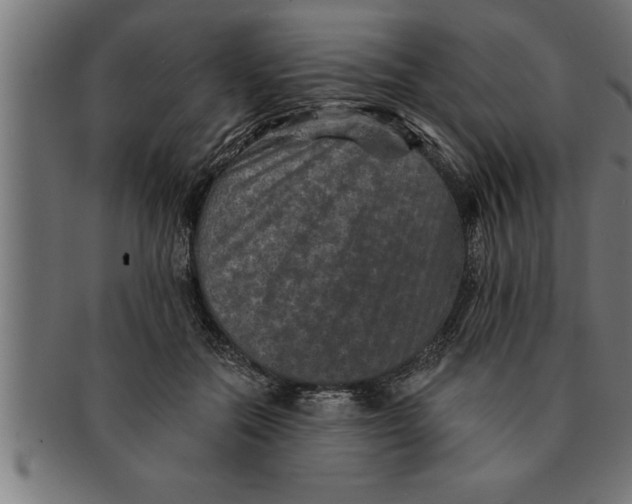 X0000091670554200709201222