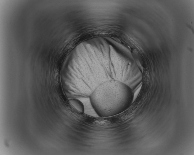 X0000091670557200709201222