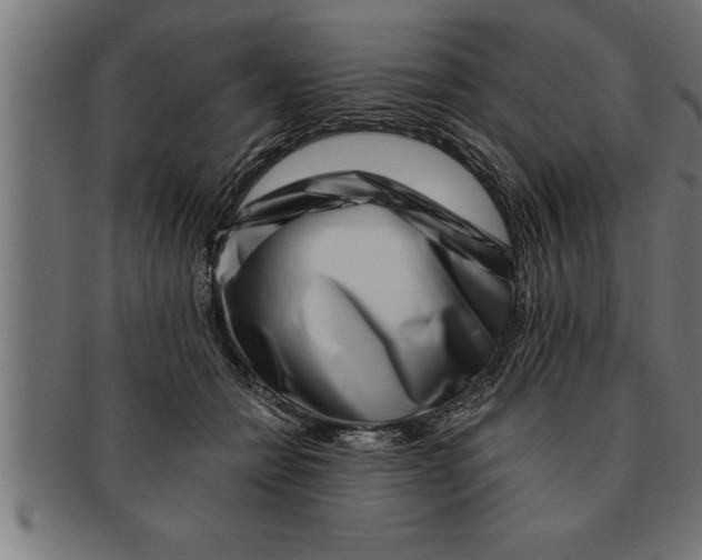 X0000091670558200709201222