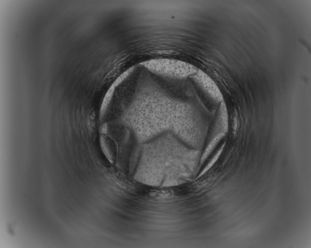 X0000091670559200709201222