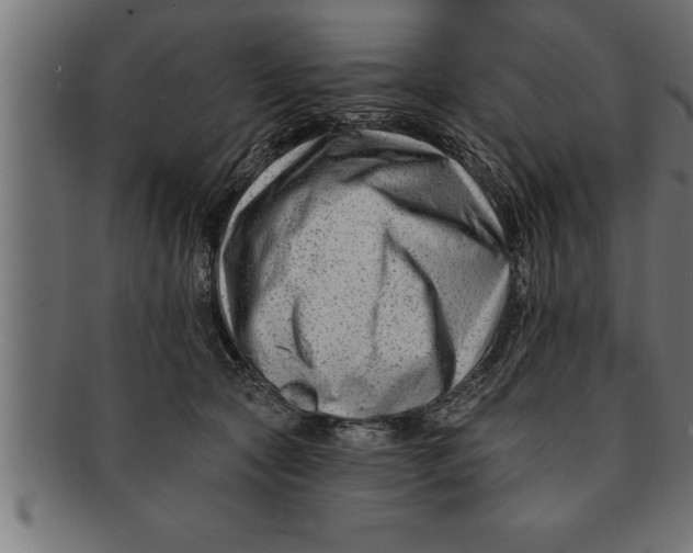 X0000091670561200709201222