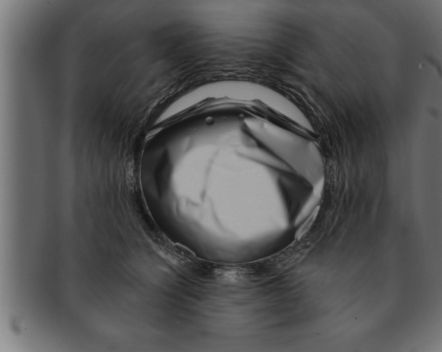 X0000091670564200709201222