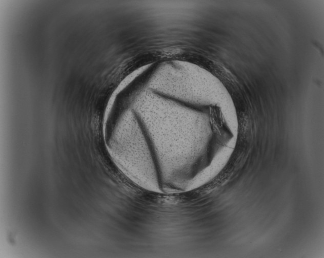 X0000091670565200709201222