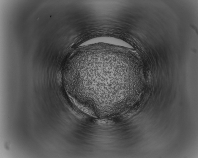 X0000091670568200709201222