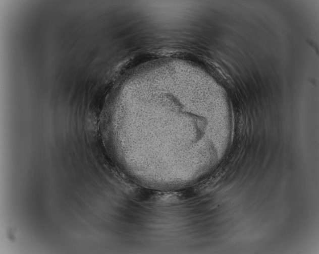 X0000091670569200709201222