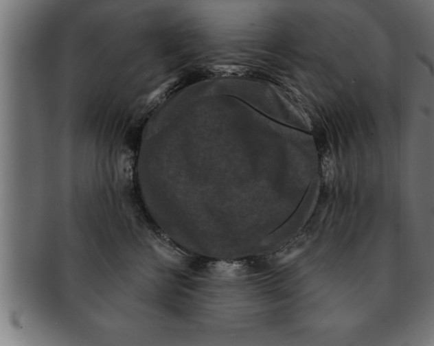 X0000091670570200709201222