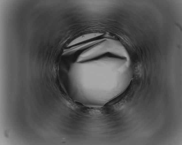 X0000091670572200709201222