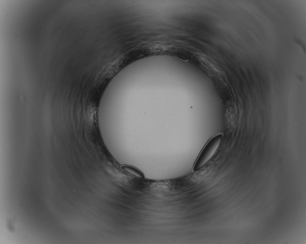 X0000091670574200709201222