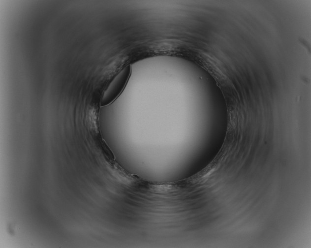 X0000091670575200709201222