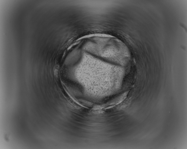 X0000091670576200709201222